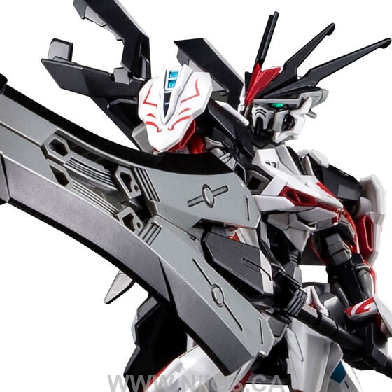 LIMITED Premium Bandai HG 1/144 LOAD ASTRAY Ω