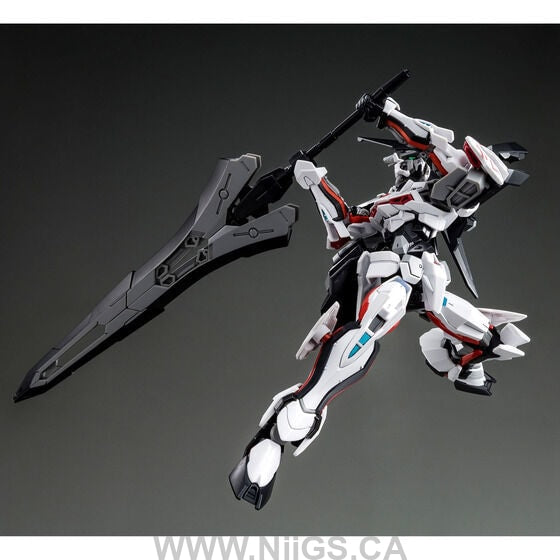 LIMITED Premium Bandai HG 1/144 LOAD ASTRAY Ω