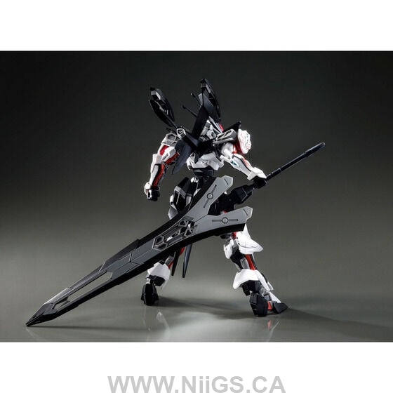 LIMITED Premium Bandai HG 1/144 LOAD ASTRAY Ω