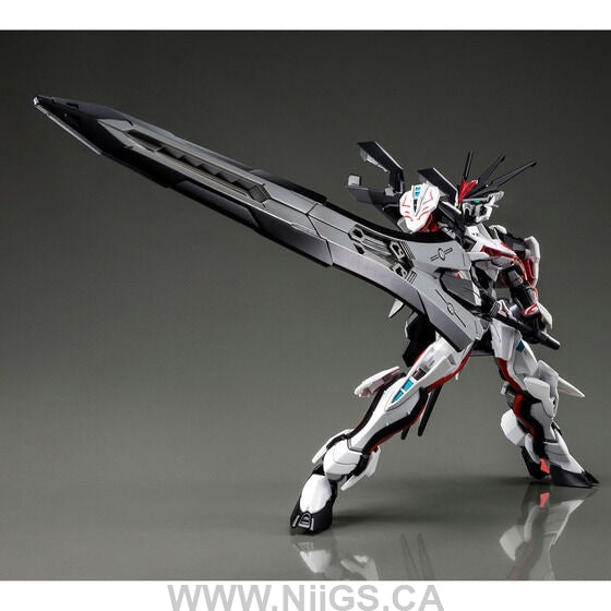 LIMITED Premium Bandai HG 1/144 LOAD ASTRAY Ω