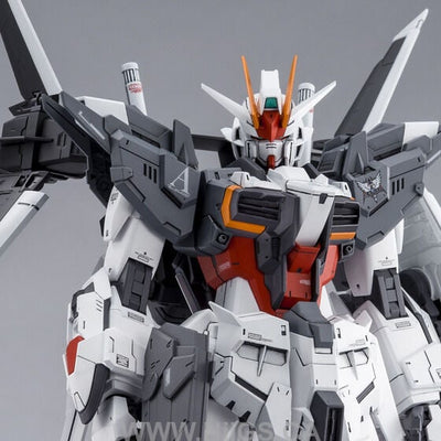 LIMITED Premium Bandai  MG 1/100 Gundam EX IMPULSE