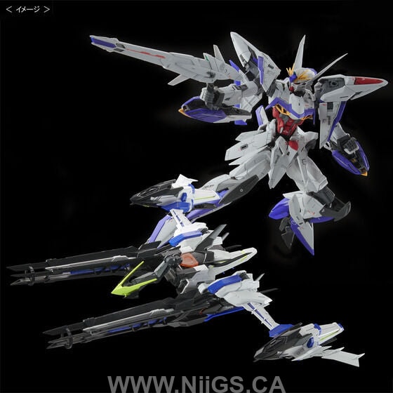 LIMITED Premium Bandai MG 1/100 Eclipse Gundam Raijin Equipment