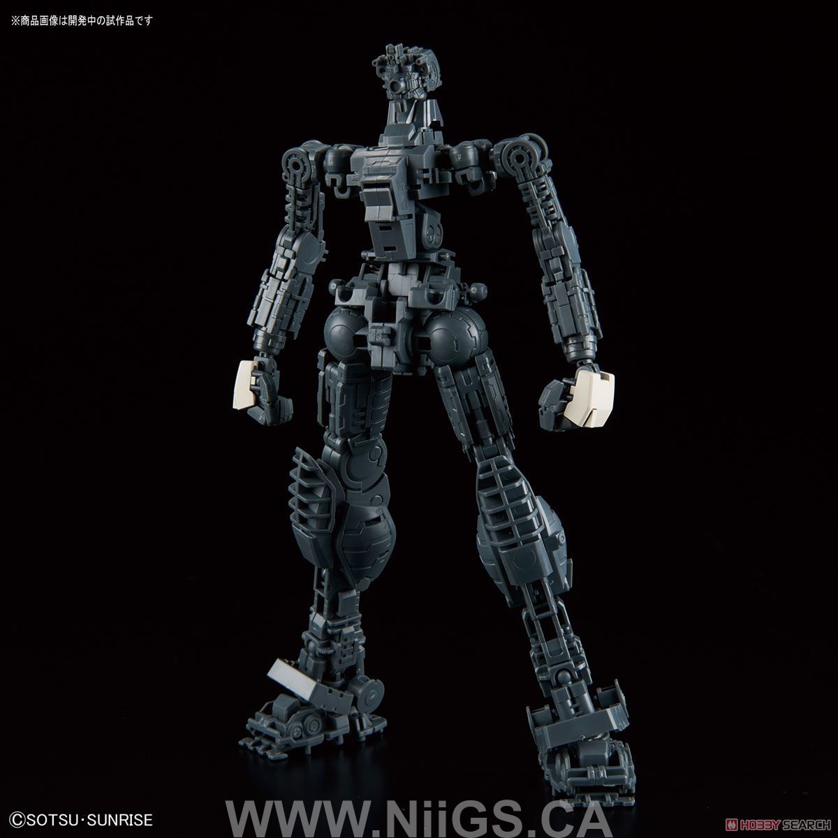 MG 1/100 GM Command (Colony Type)