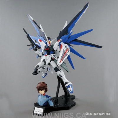 MG 1/100 Freedom Gundam Ver.2.0 & Kira Yamato