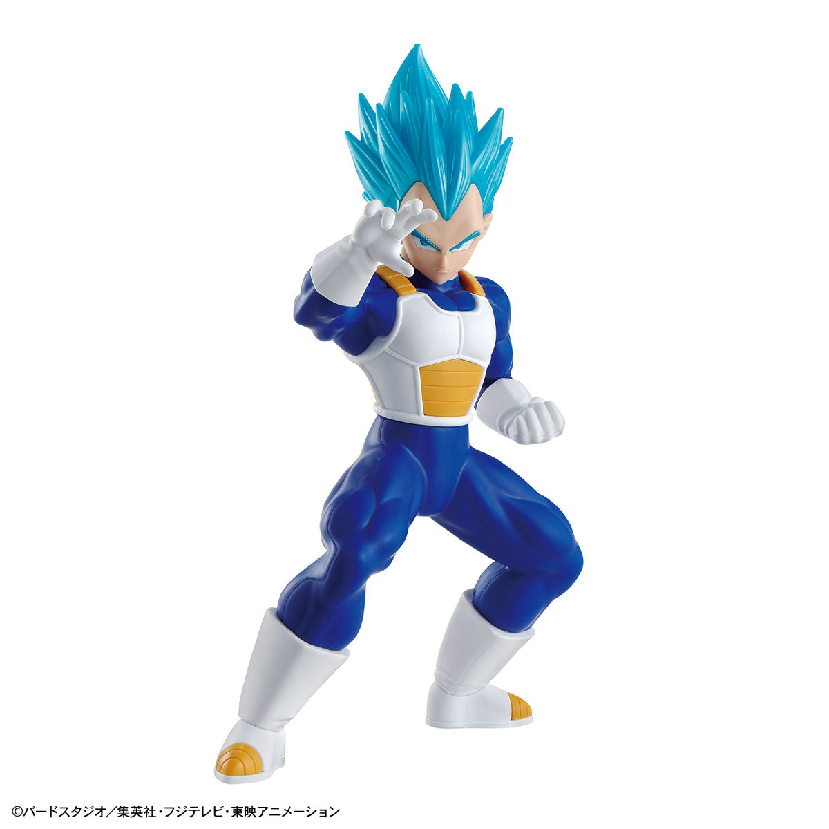 ENTRY GRADE SUPER SAIYAN GOD SUPER SAIYAN VEGETA
