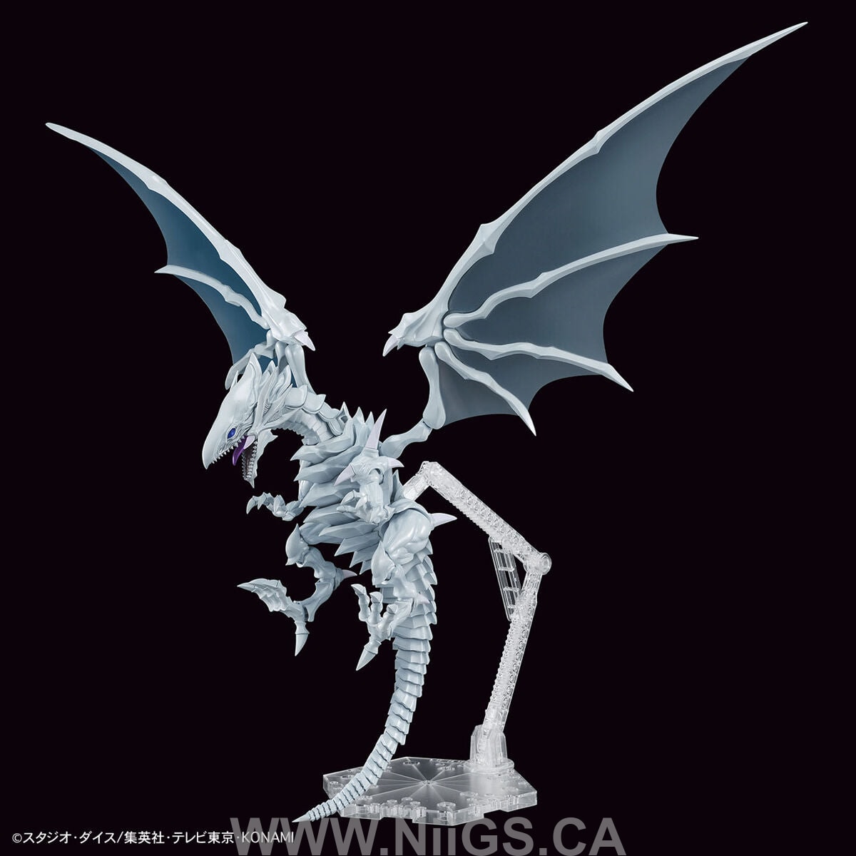 BANDAI Hobby Figure-rise Standard Amplified Blue-Eyes White Dragon