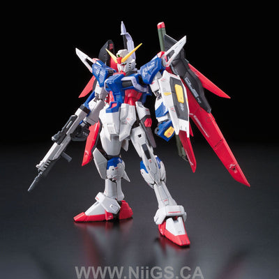BANDAI Hobby RG 1/144 #11 Destiny Gundam