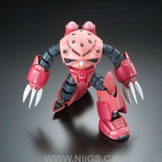 BANDAI Hobby RG 1/144 #16 Zgok Char Custom
