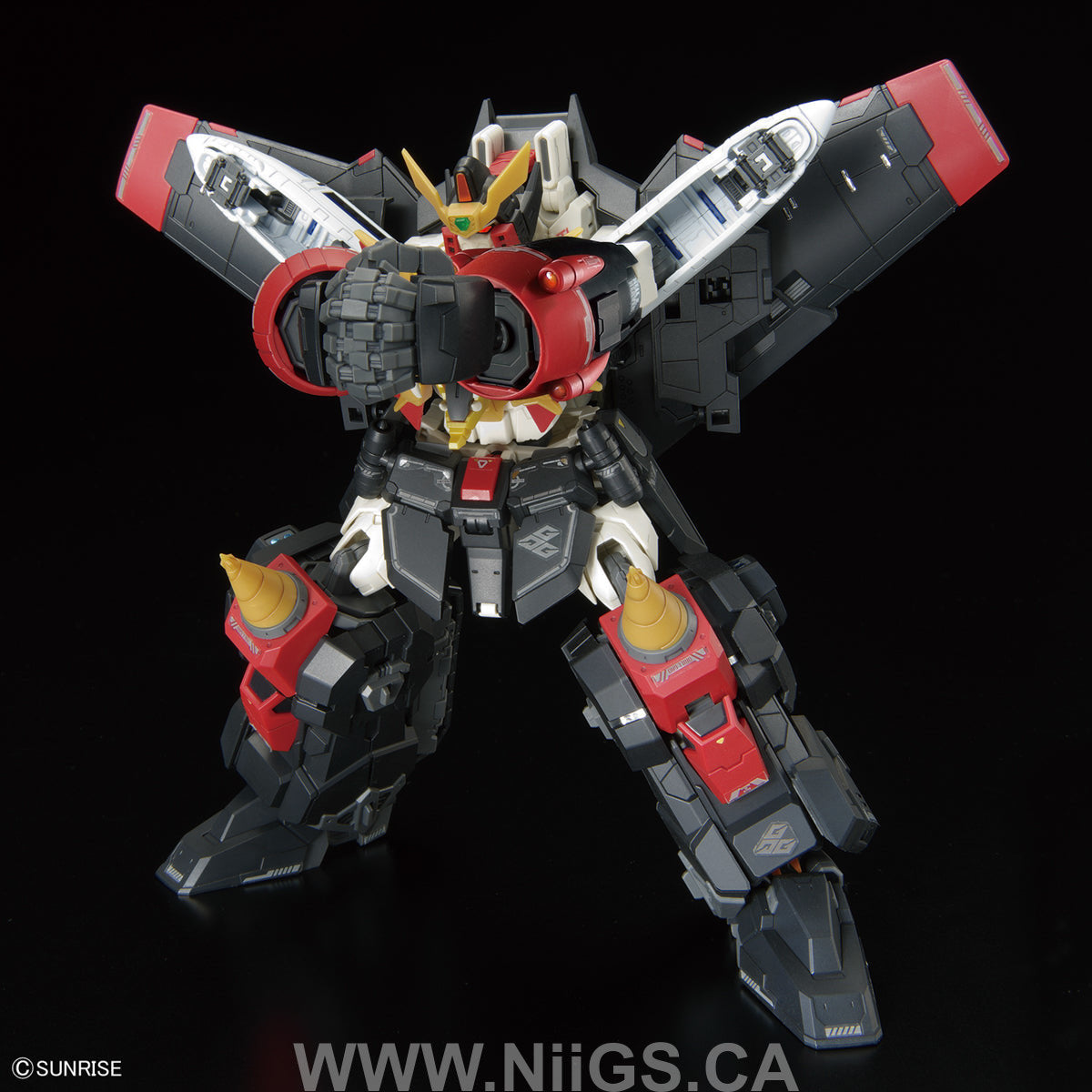 BANDAI Hobby RG GAOGAIGAR