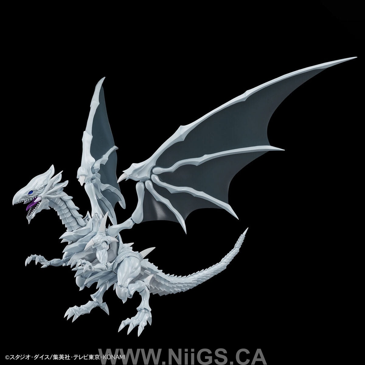 BANDAI Hobby Figure-rise Standard Amplified Blue-Eyes White Dragon