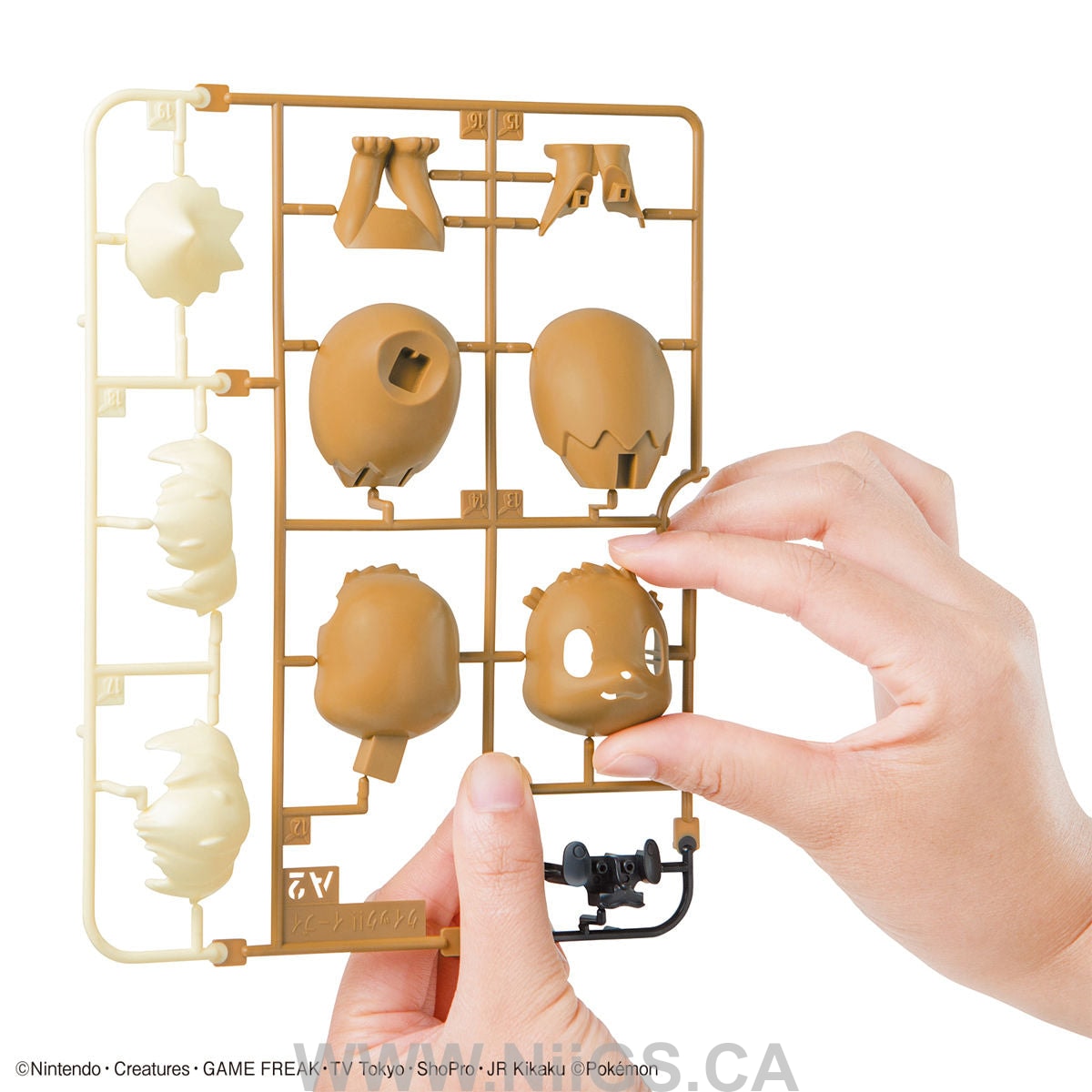 BANDAI Hobby Pokemon Model Kit Quick!! 04 EEVEE