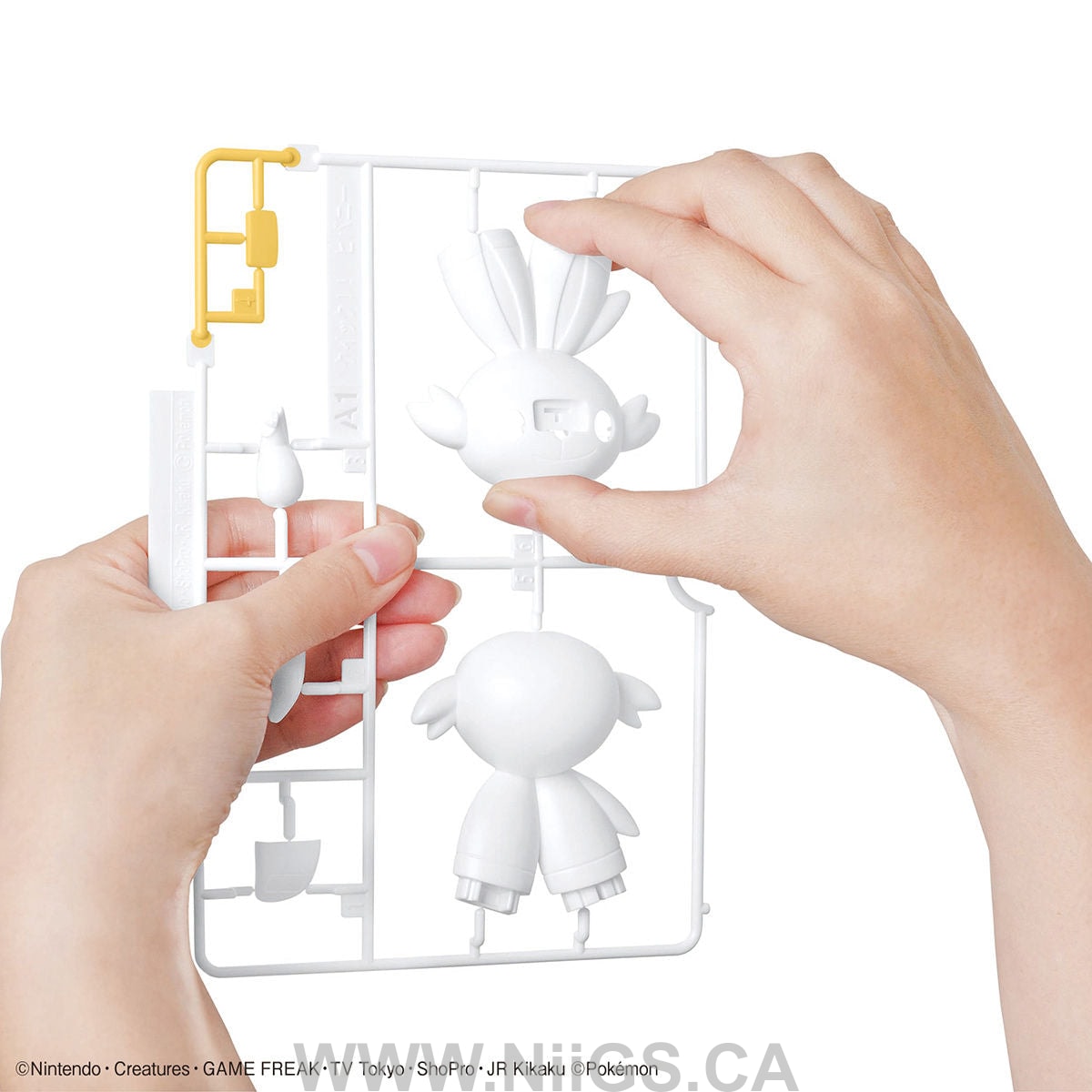 BANDAI HOBBY Pokemon Model Kit Quick!! 05 SCORBUNNY