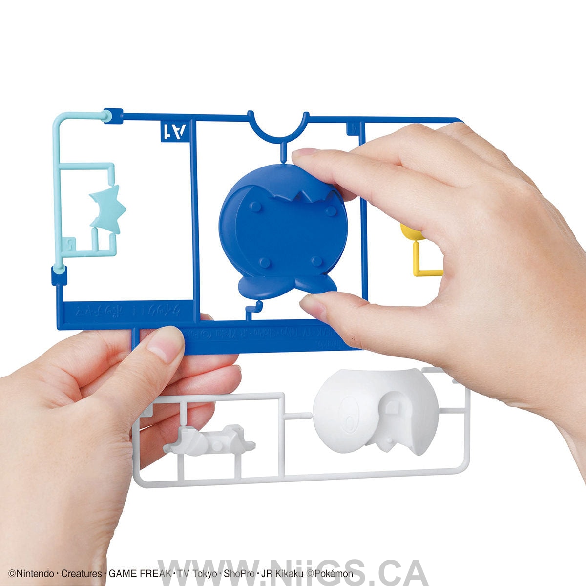 BANDAI Hobby Pokemon Model Kit Quick!! 06 PIPLUP