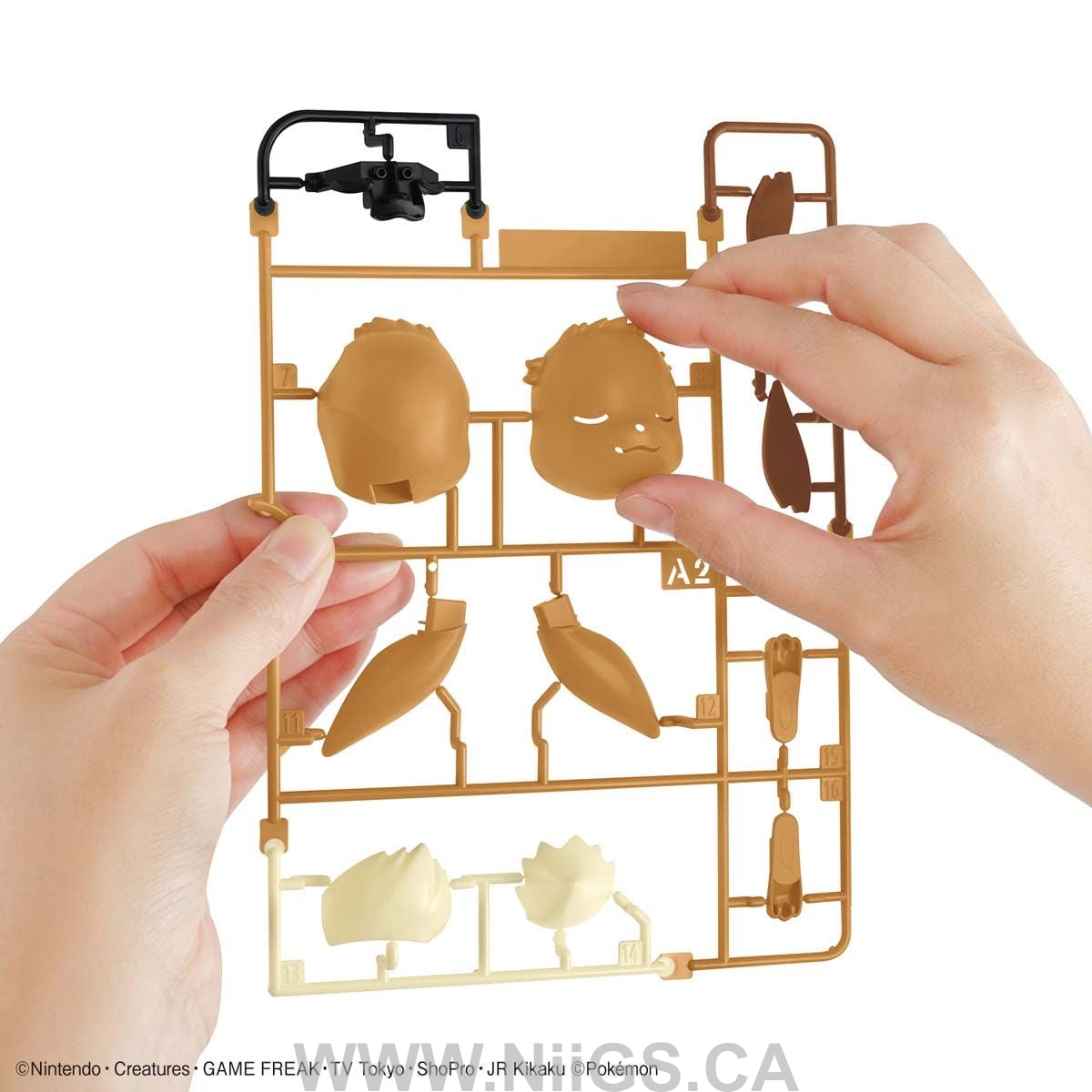 BANDAI Hobby Pokemon Model Kit Quick!! 07 EEVEE (SLEEPING POSE)