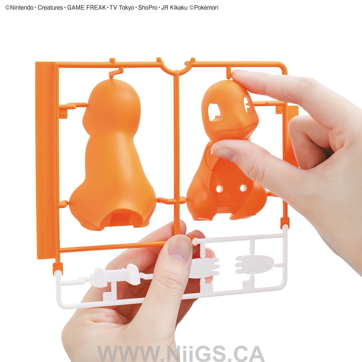 BANDAI HOBBY Pokemon Model Kit QUICK!! 11 CHARMANDER