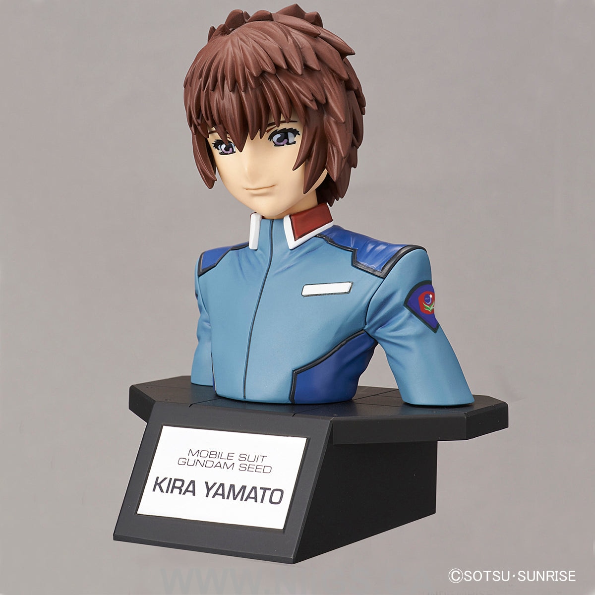 MG 1/100 Freedom Gundam Ver.2.0 & Kira Yamato