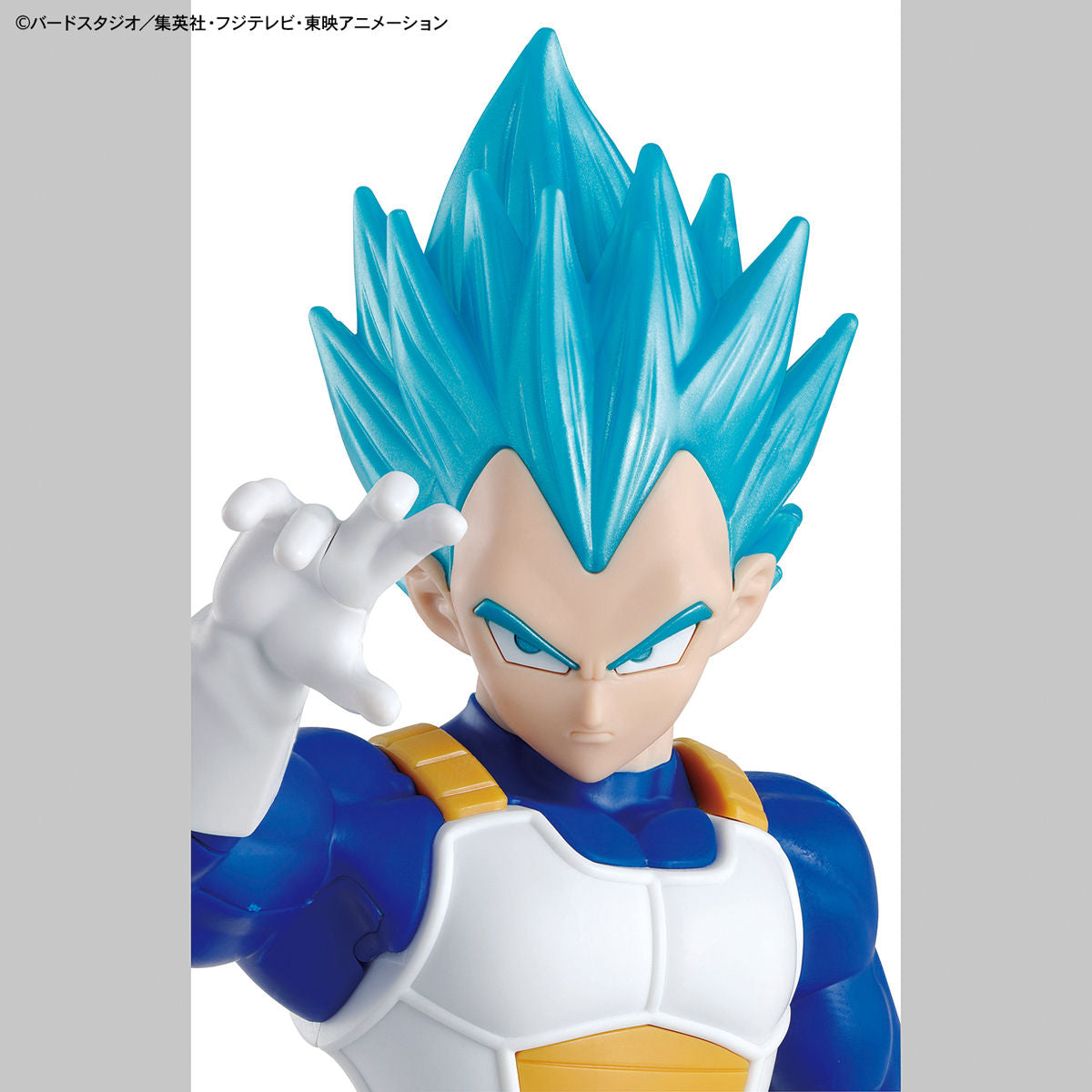 ENTRY GRADE SUPER SAIYAN GOD SUPER SAIYAN VEGETA