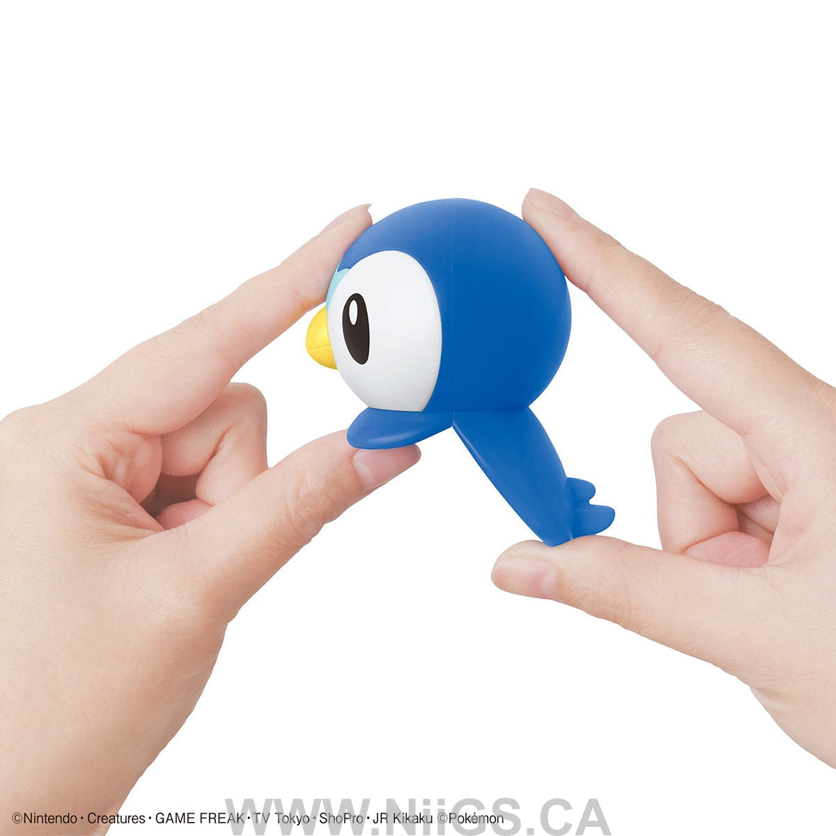 BANDAI Hobby Pokemon Model Kit Quick!! 06 PIPLUP