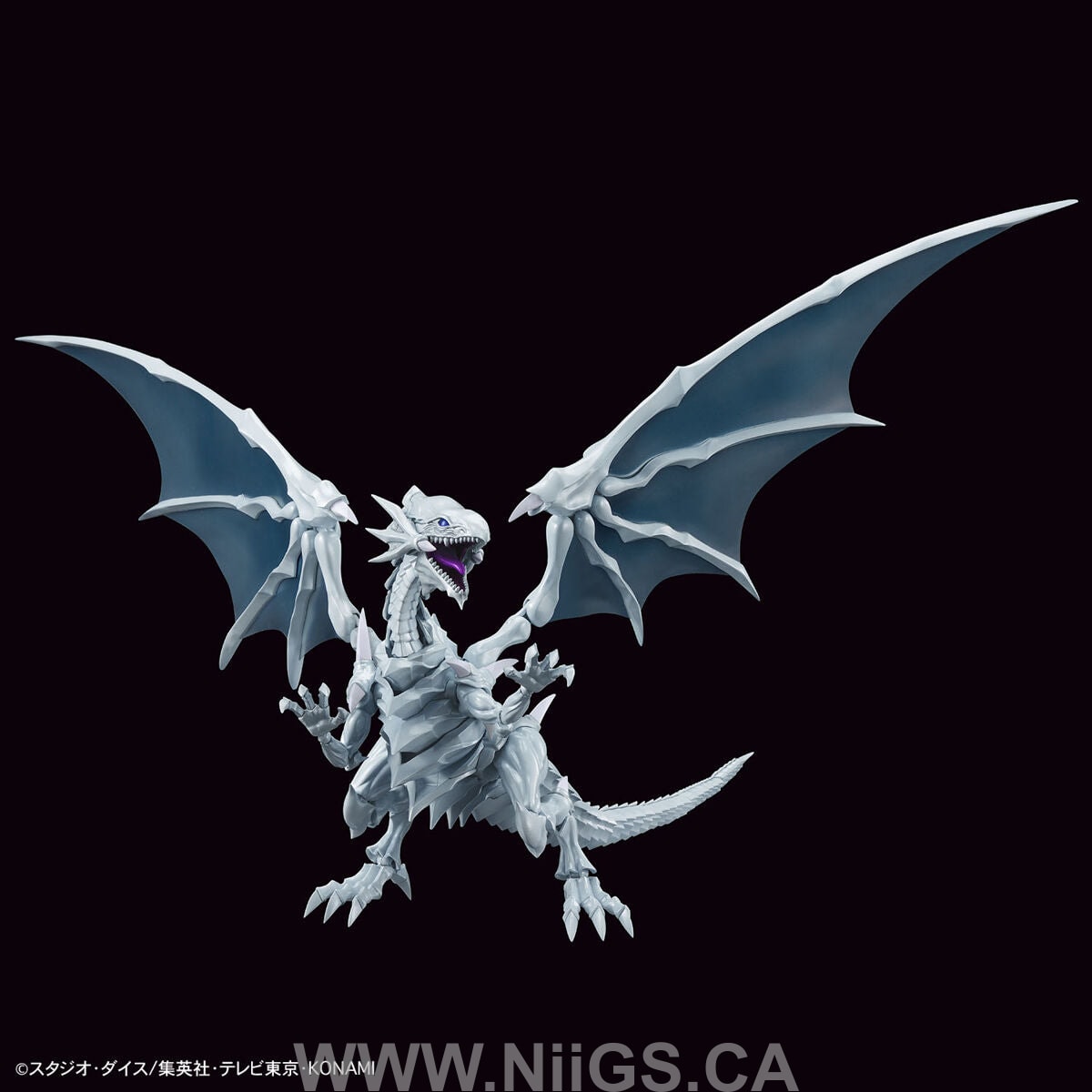 BANDAI Hobby Figure-rise Standard Amplified Blue-Eyes White Dragon
