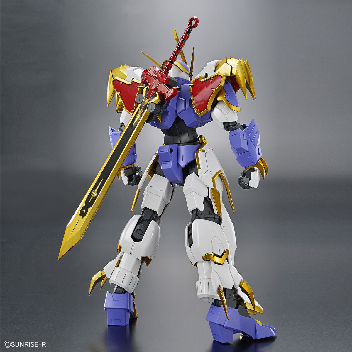 HG Amplified IMGN RYUJINMARU
