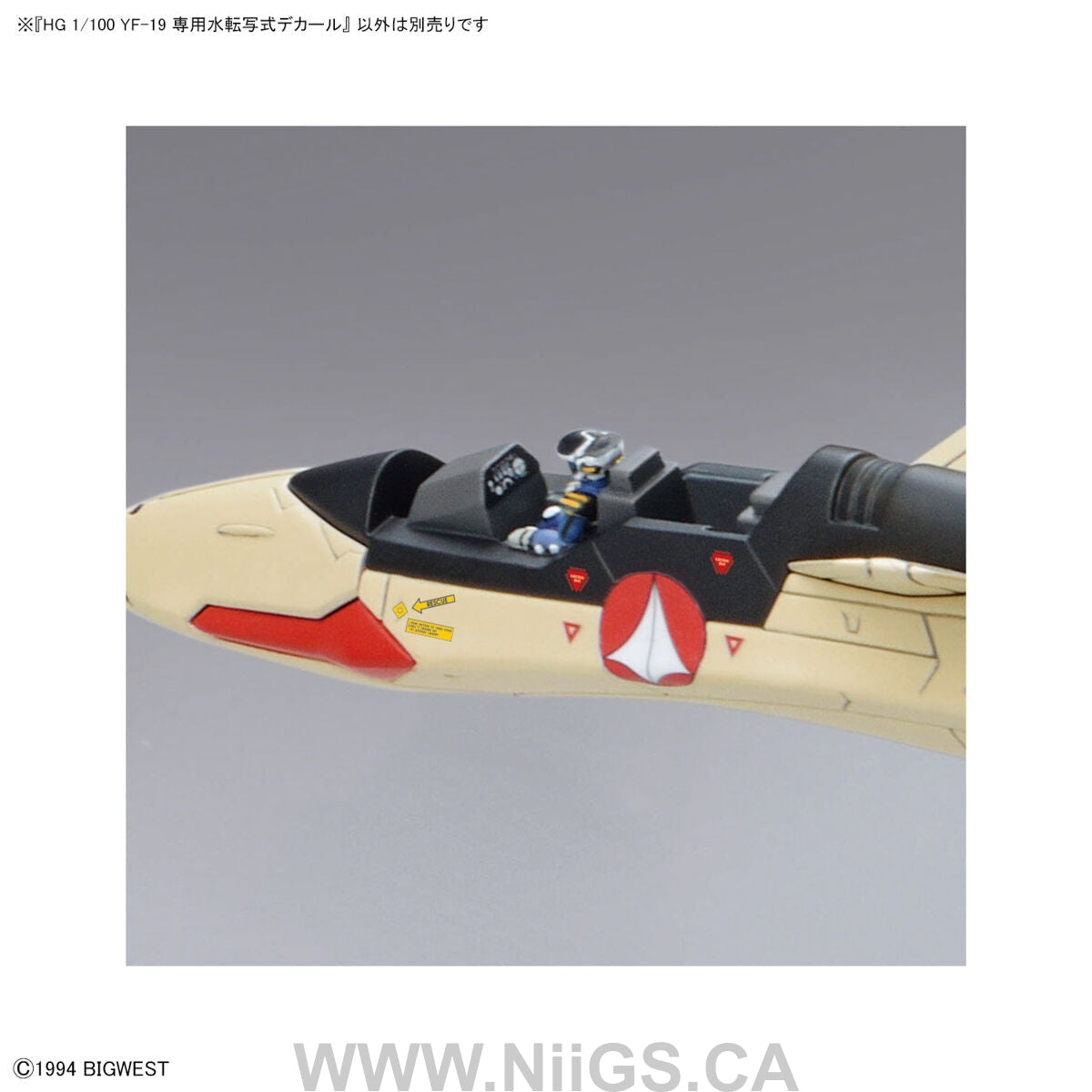 HG 1/100 YF-19 WATER DECALS