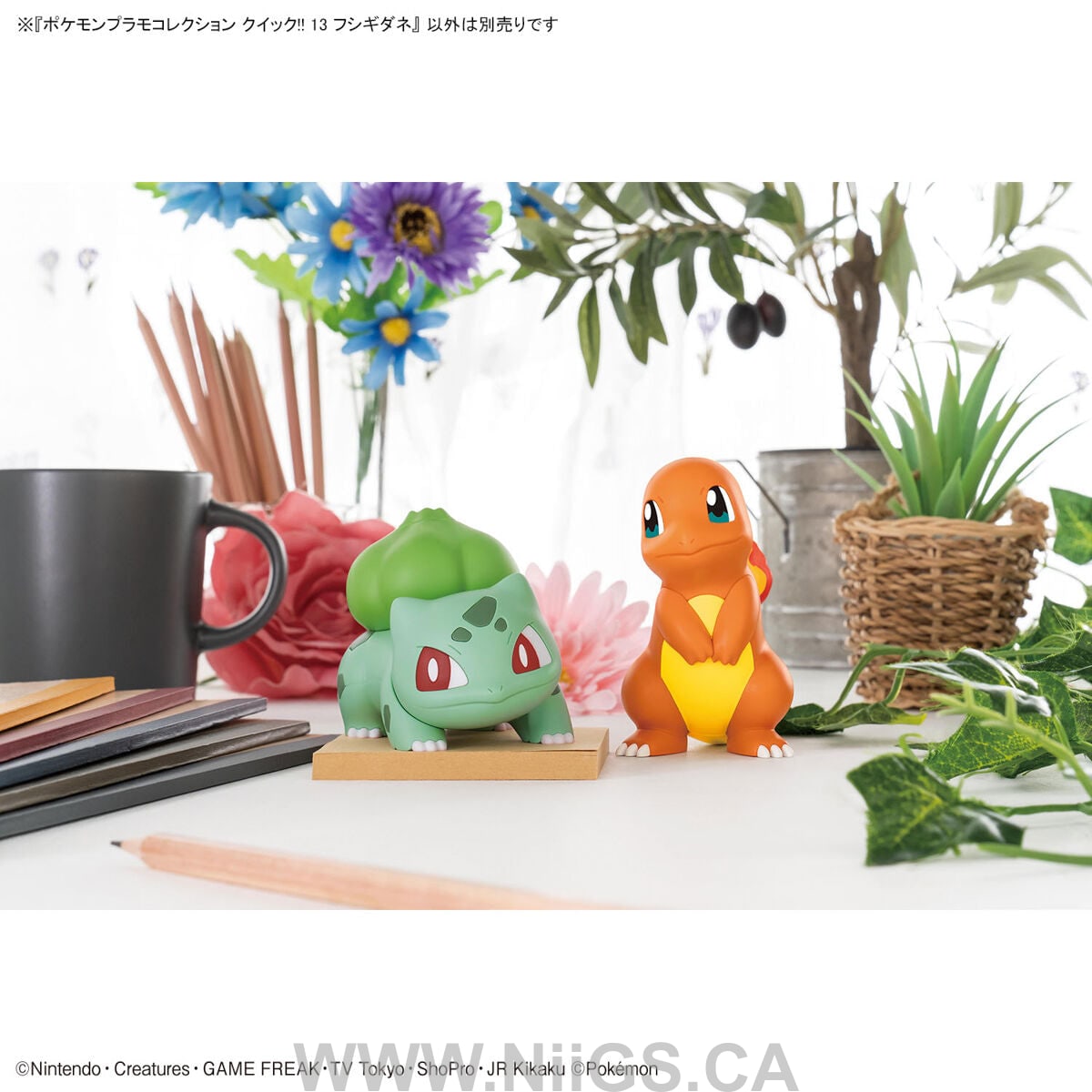 BANDAI Hobby Pokemon Model Kit QUICK!! 13 BULBASAUR