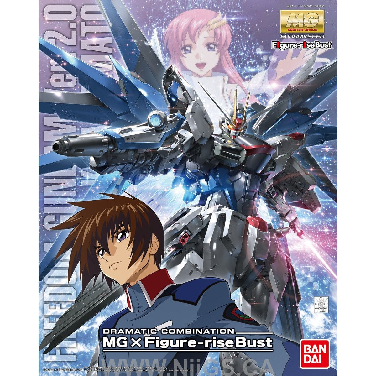 MG 1/100 Freedom Gundam Ver.2.0 & Kira Yamato