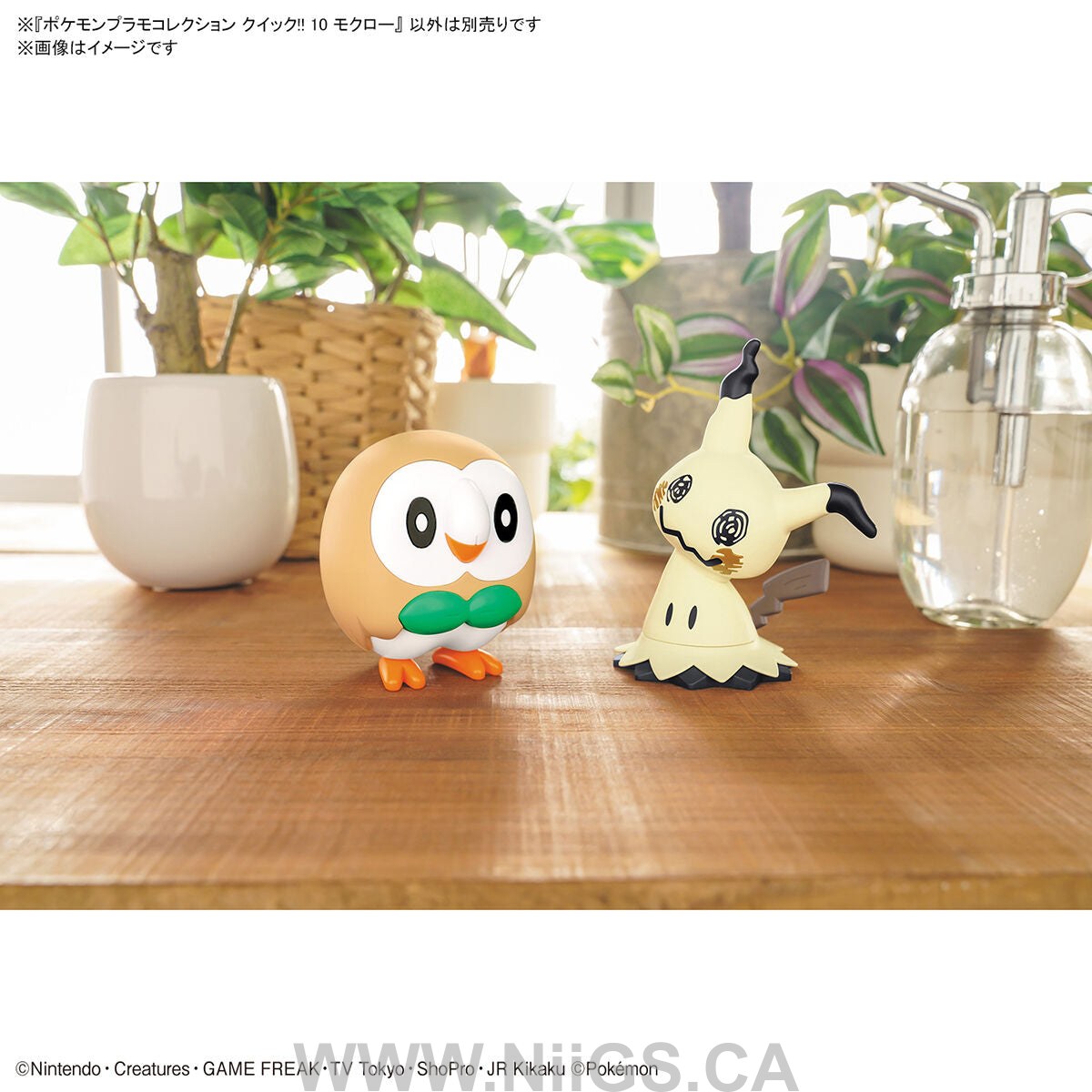 Pokemon Model Kit QUICK!! 10 ROWLET