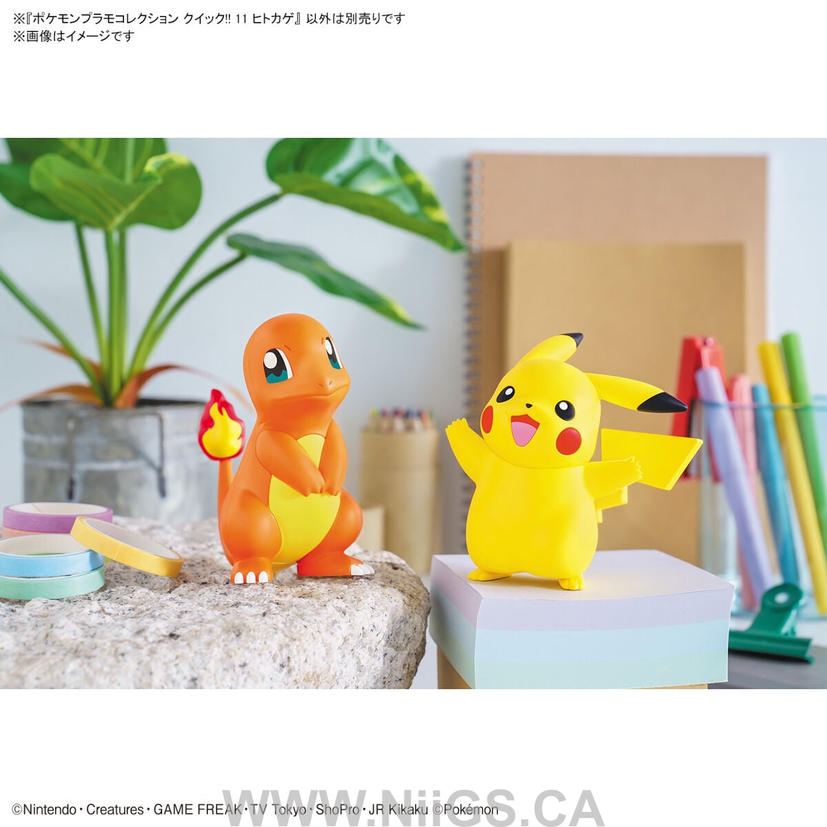 BANDAI HOBBY Pokemon Model Kit QUICK!! 11 CHARMANDER