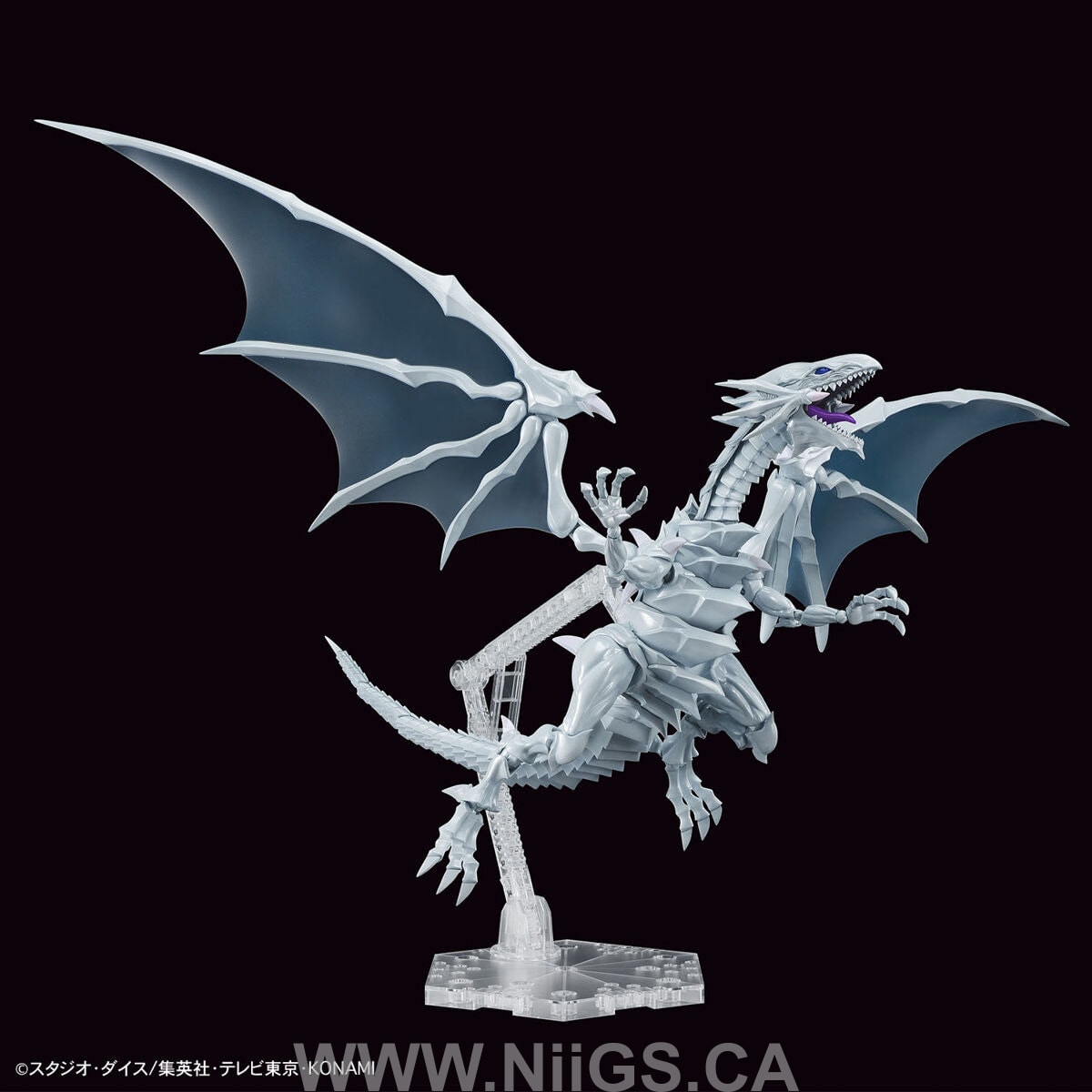 BANDAI Hobby Figure-rise Standard Amplified Blue-Eyes White Dragon
