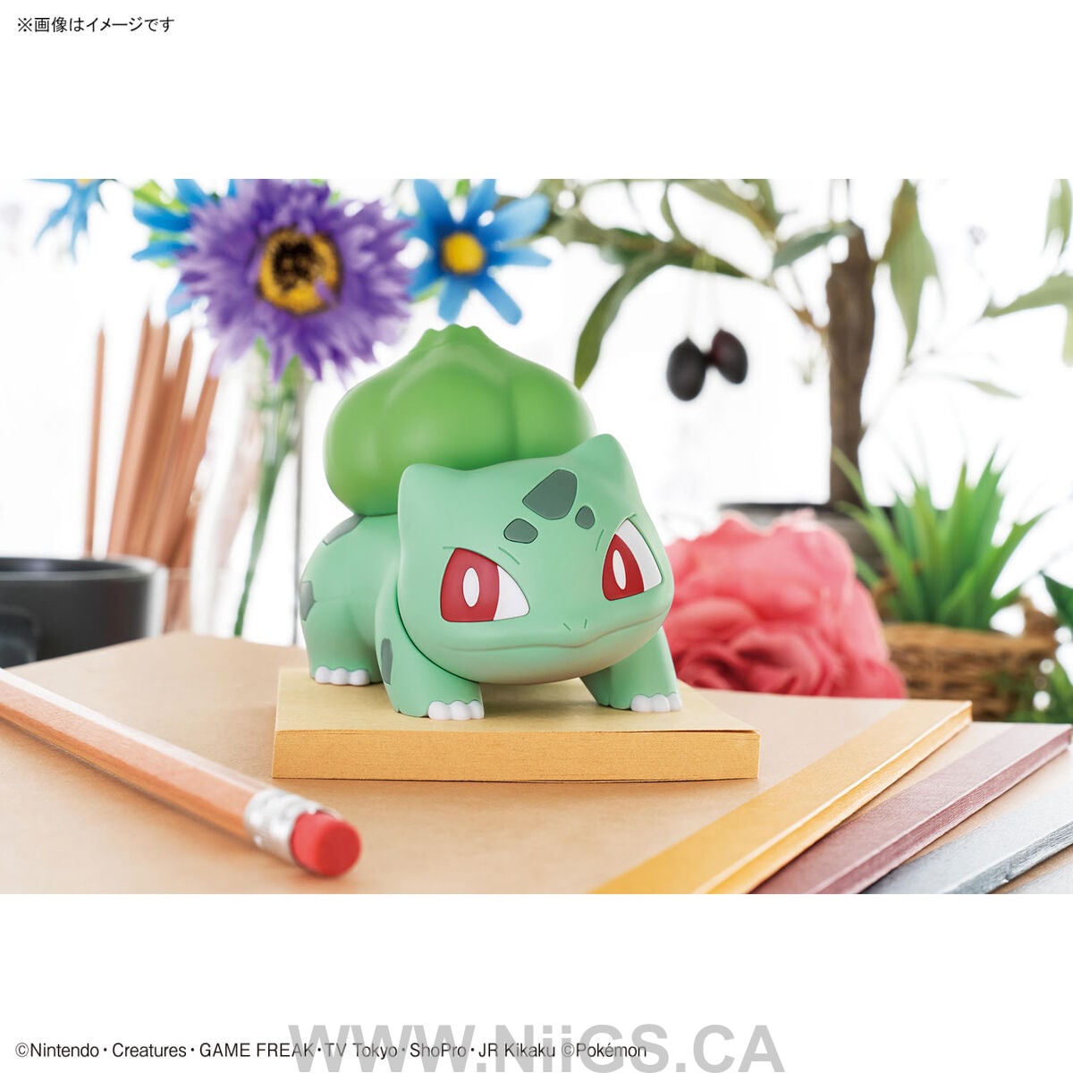 BANDAI Hobby Pokemon Model Kit QUICK!! 13 BULBASAUR