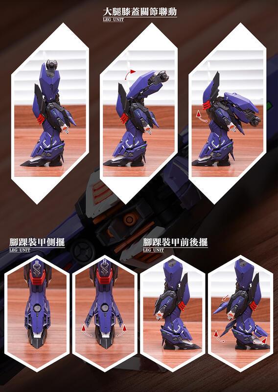 Infinite Dimension x SNAA MG 1/100 Ruling