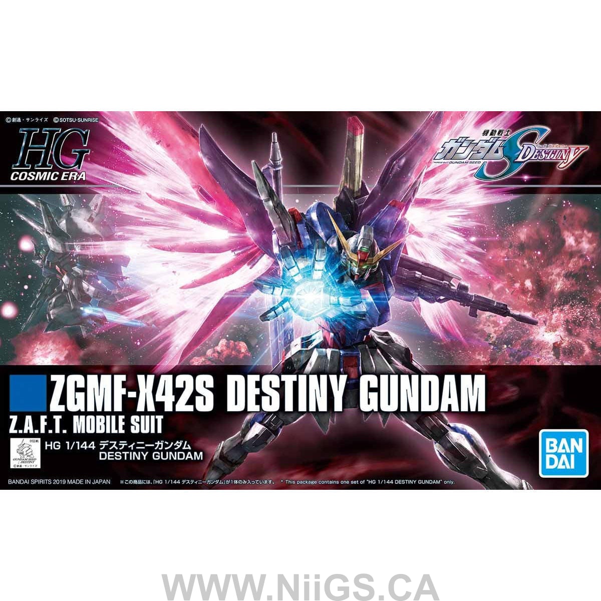 HGCE 1/144 DESTINY GUNDAM