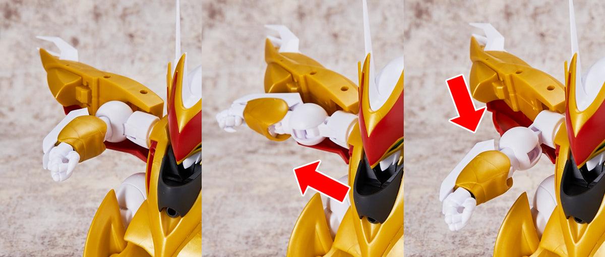 HG RYUSEIMARU