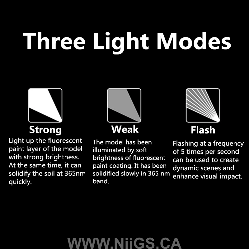 DSPIAE 365nm Ultraviolet Light Torch