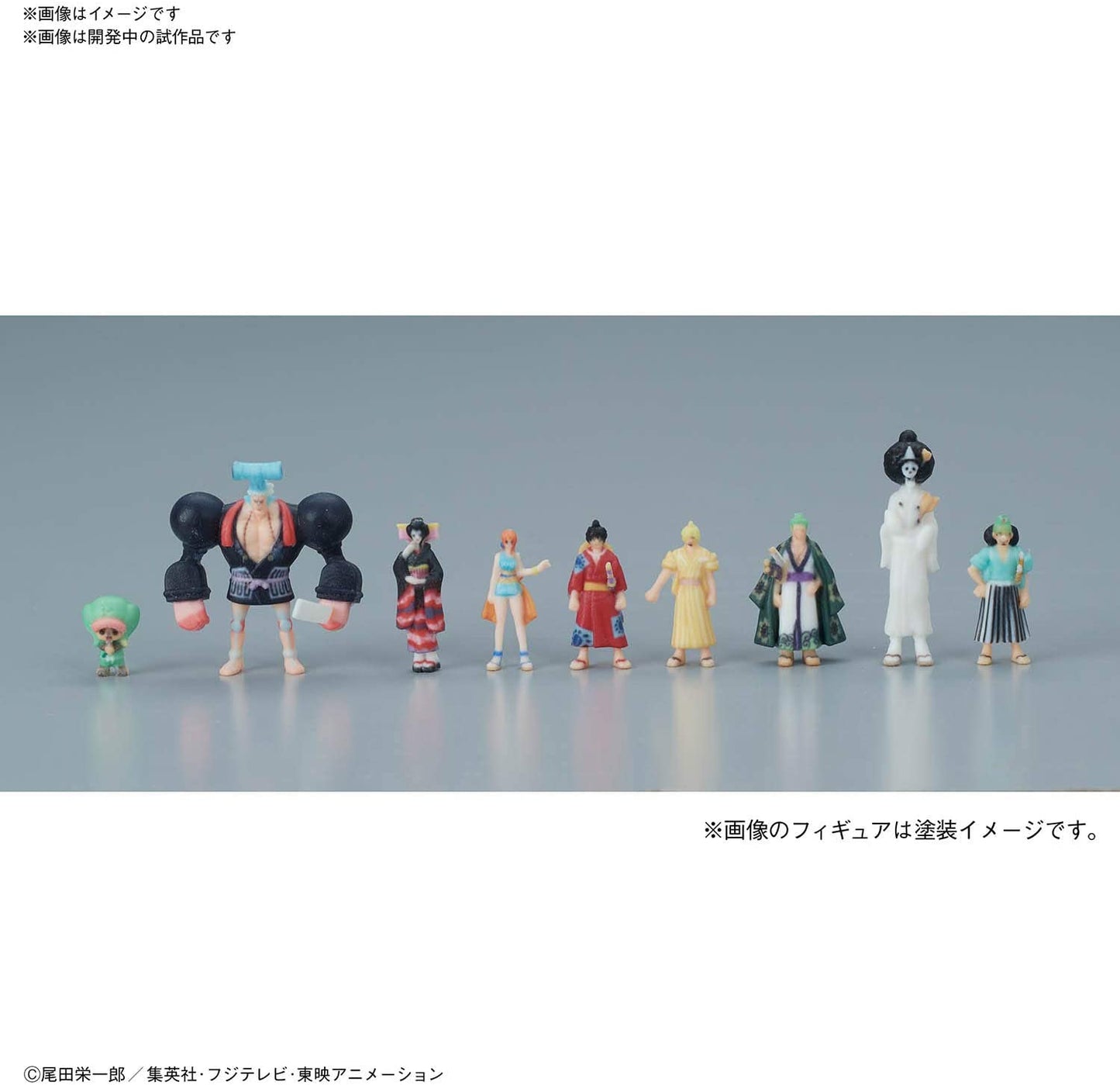 THOUSAND SUNNY LAND OF WANO Ver.