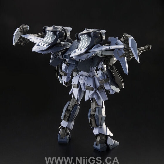 LIMITED Premium Bandai FULL MECHANICS 1/100 AILE CALAMITY GUNDAM