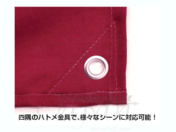 COSPA Zeon Military Flag