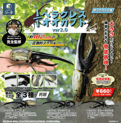 1/1 Hercules Beetle ver2.0 (Box of 4)