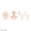BANDAI Hobby 30MS OPTION PARTS SET 13 (TACTICAL COSTUME) [COLOR B]