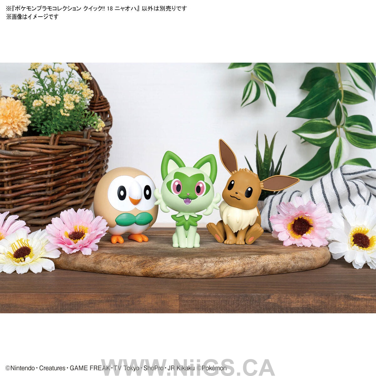 BANDAI SPIRITS Pokémon Plamodel Collection Quick 18+19+20 Sprigatito BANDAI SPIRITS Pokémon Plamodel Collection Quick 18+19+20 Sprigatito