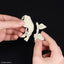 BANDAI New Dinosaur Plastic Model Kit Brand Stegosaurus