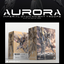 [Pre-order] IN-ERA +PMD Perfaction Metal Design 1/100 Aurora model kit [ETA Q2]