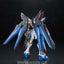 BANDAI Hobby MG Strike Freedom Gundam Special Version - Nii G Shop