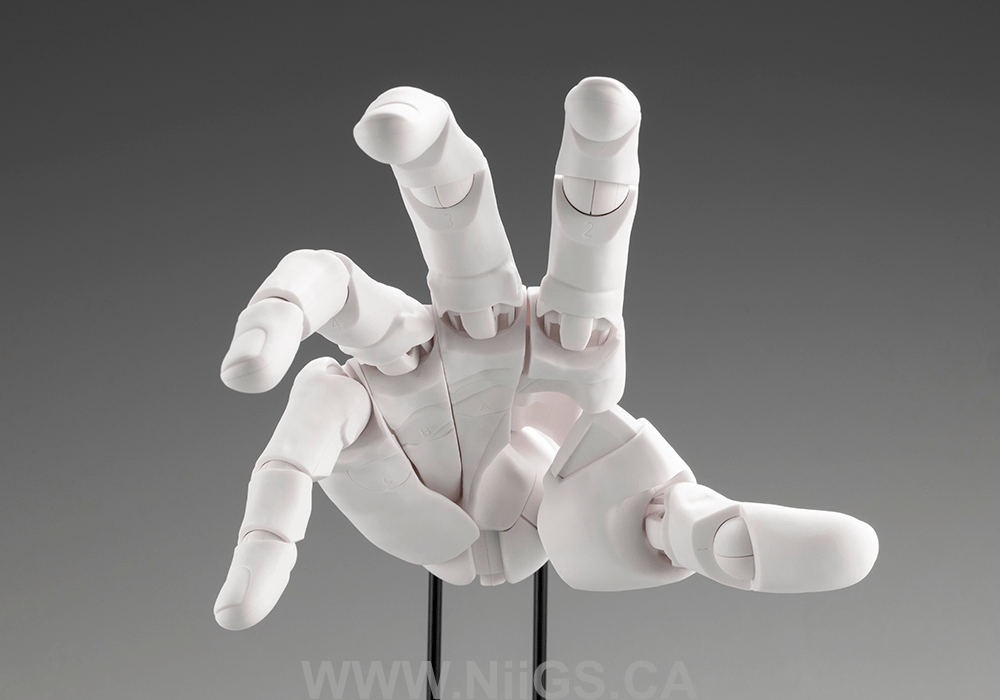 KOTOBUKIYA ARTIST SUPPORT ITEM HAND MODEL