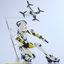 GOOD SMILE COMPANY MOTORED CYBORG RUNNER SSX_155ar "KINETIC ASH"