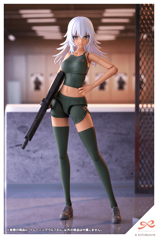 KOTOBUKIYA Training WOLF
