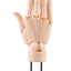 KOTOBUKIYA ARTIST SUPPORT ITEM HAND MODEL