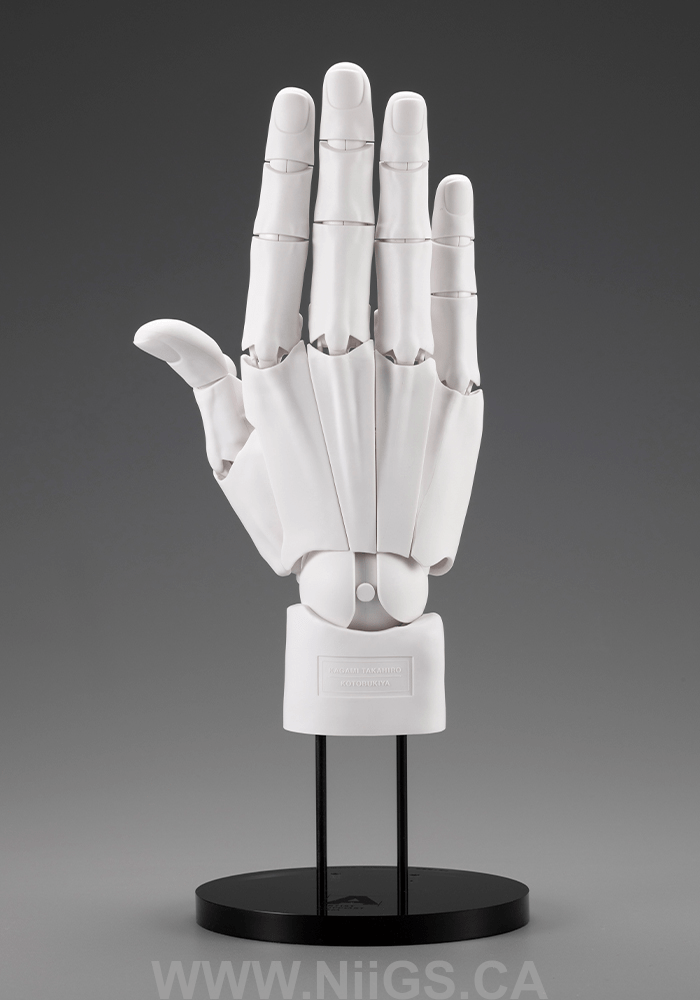 KOTOBUKIYA ARTIST SUPPORT ITEM HAND MODEL