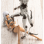 KOTOBUKIYA Training WOLF